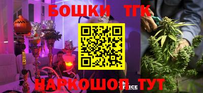 ПСИЛОЦИБИНОВЫЕ ГРИБЫ Новозыбков