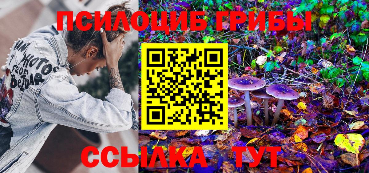 Галлюциногенные грибы Cubensis  Псилоцибиновые грибы Psilocybine cubensis  Вход с VPN  Сызрань 